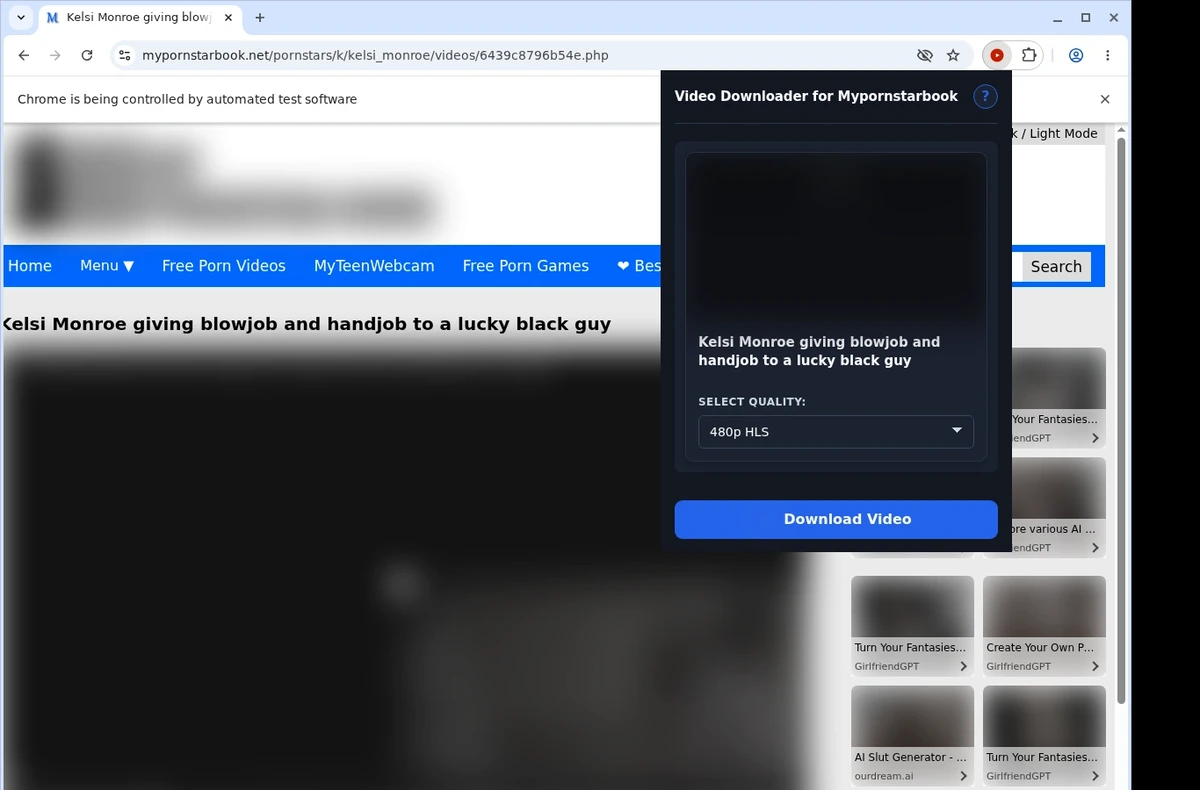 MyPornstarBook Video Downloader ready state screenshot