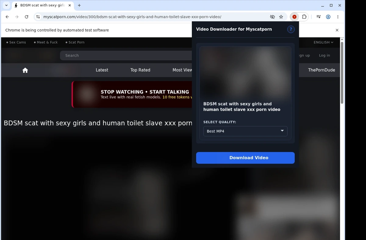 MyScatPorn Video Downloader ready state screenshot