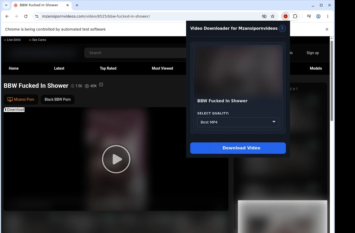 MzansiPornVideos Video Downloader ready state screenshot