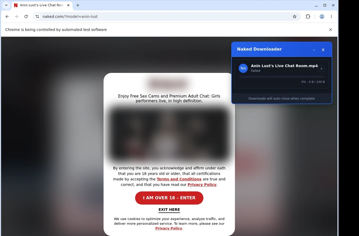 Naked Downloader ready state screenshot