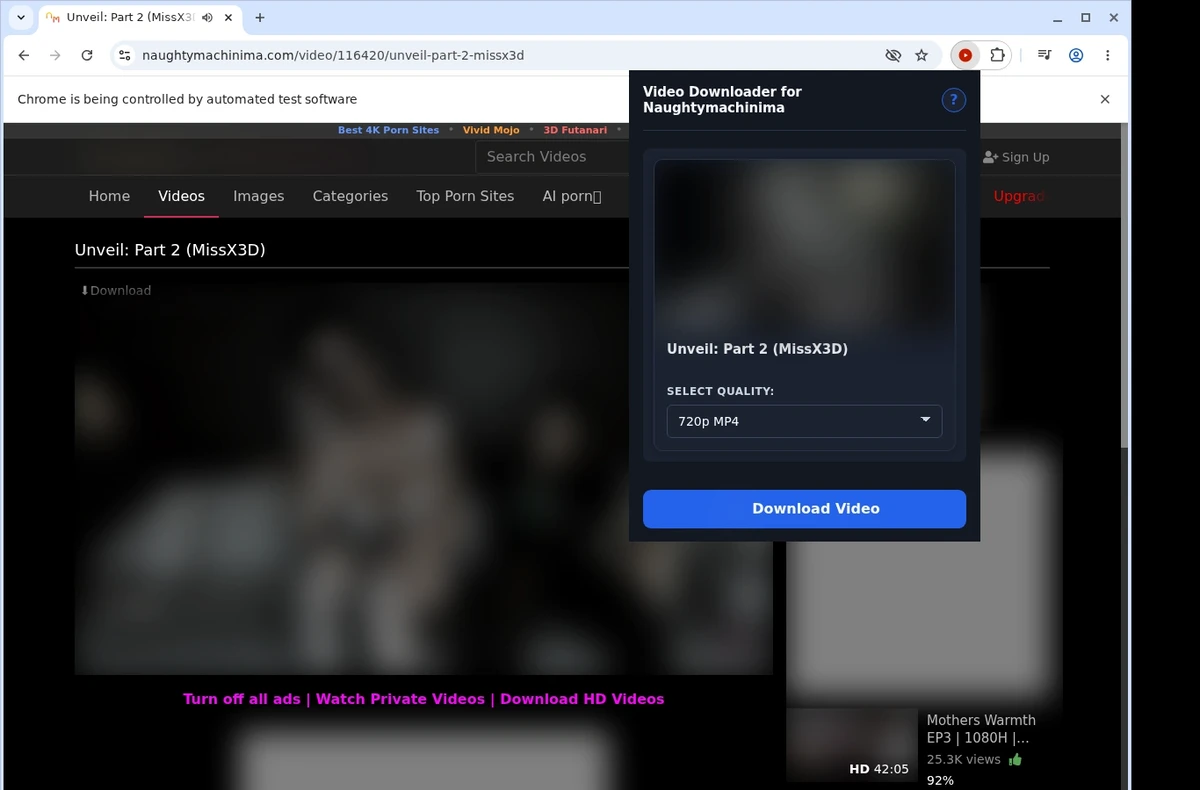 Naughty Machinima Video Downloader ready state screenshot