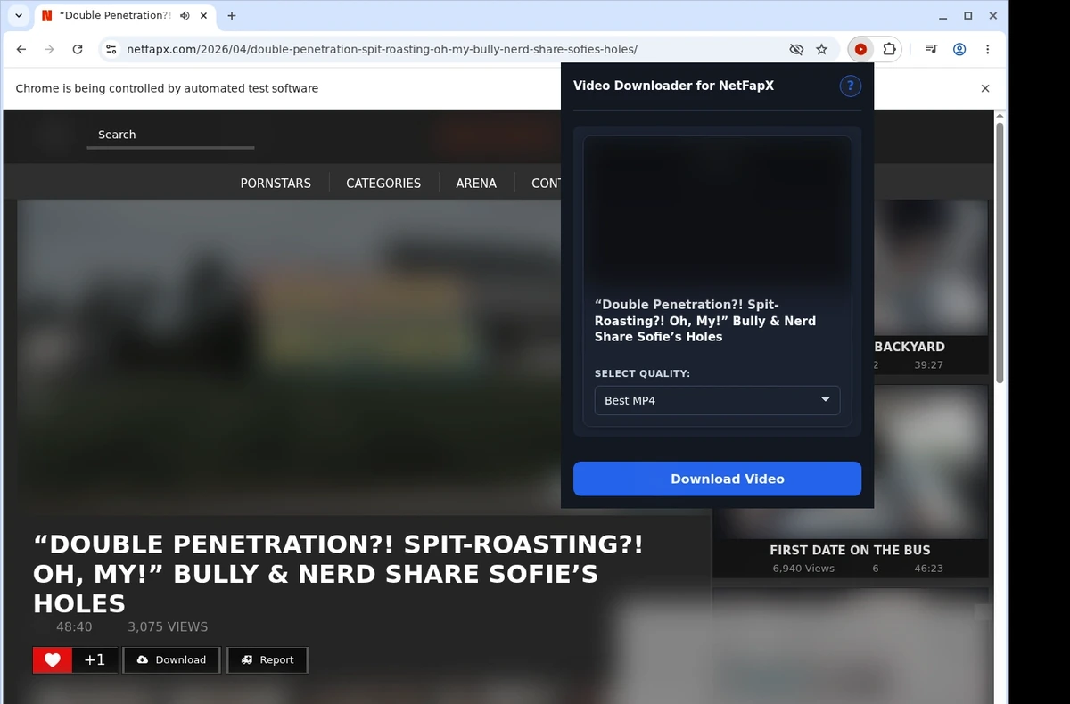 NetFapX Video Downloader ready state screenshot
