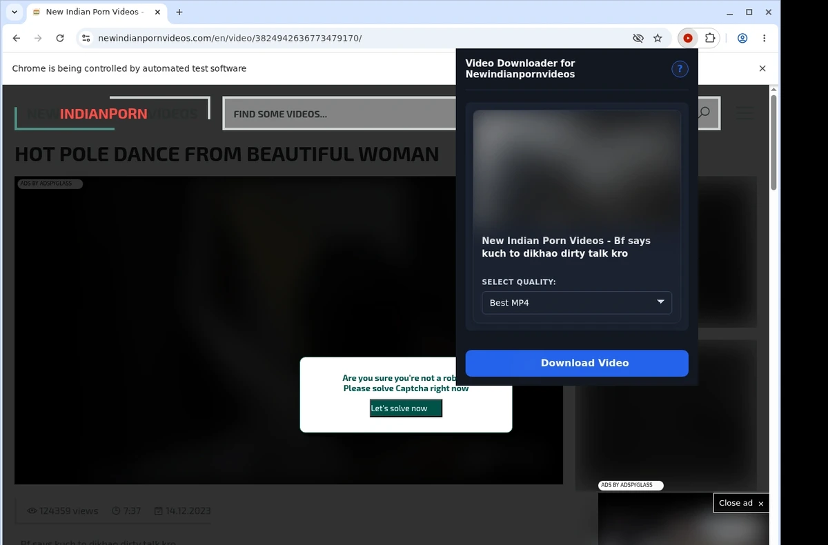 NewIndianPornVideos Downloader ready state screenshot