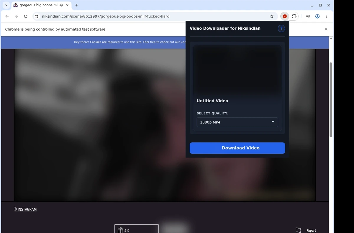 Niksindian Downloader ready state screenshot