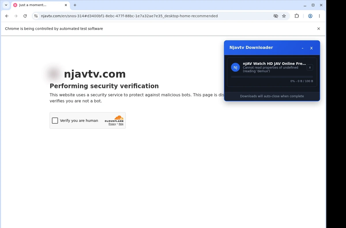 Njavtv Video Downloader ready state screenshot