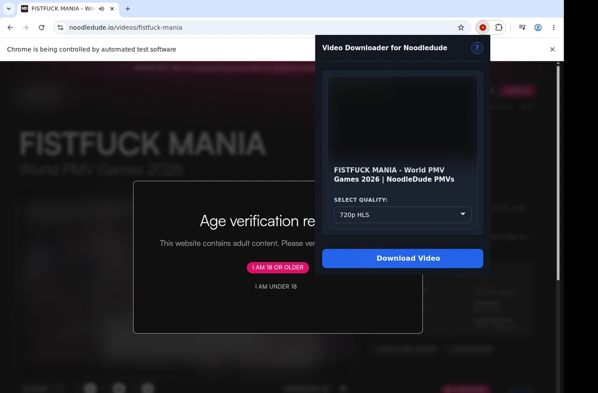 Noodledude Downloader ready state screenshot