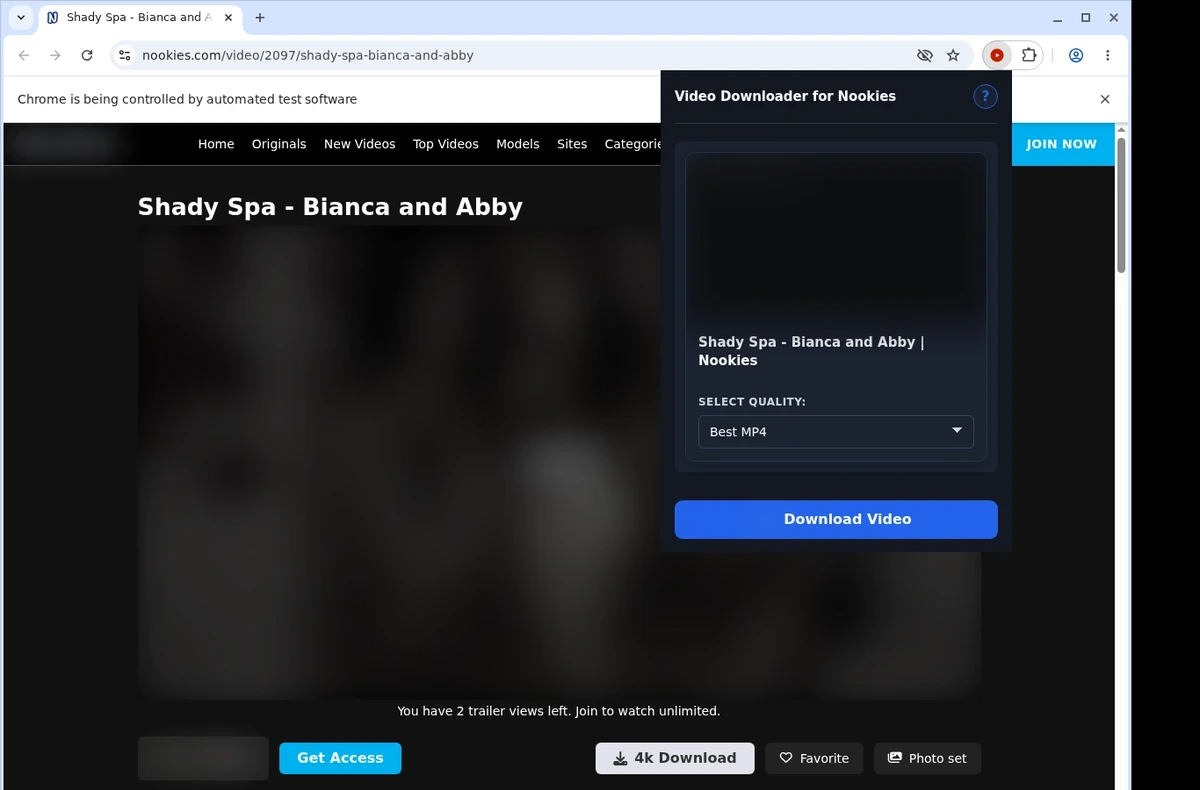 Nookies Video Downloader ready state screenshot