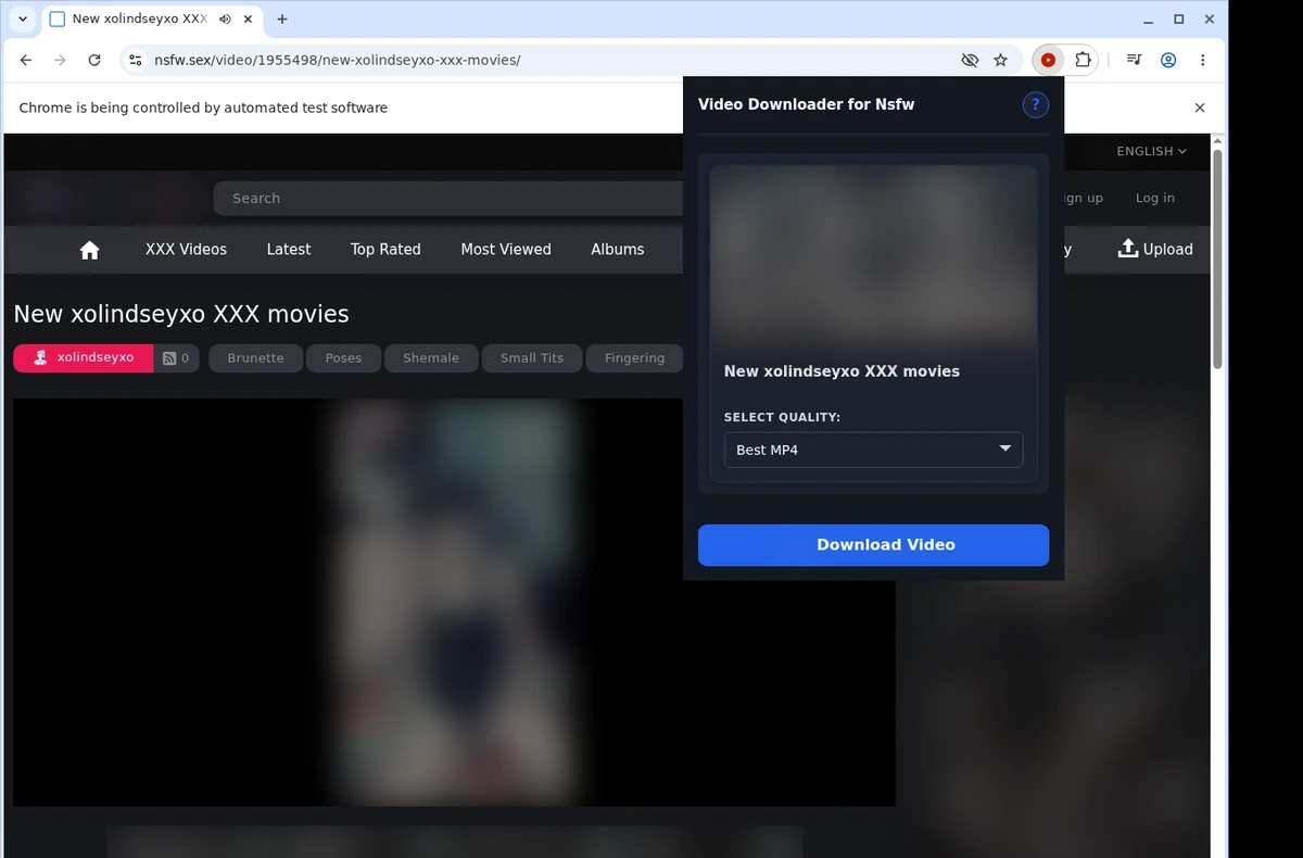 NSFW Downloader ready state screenshot