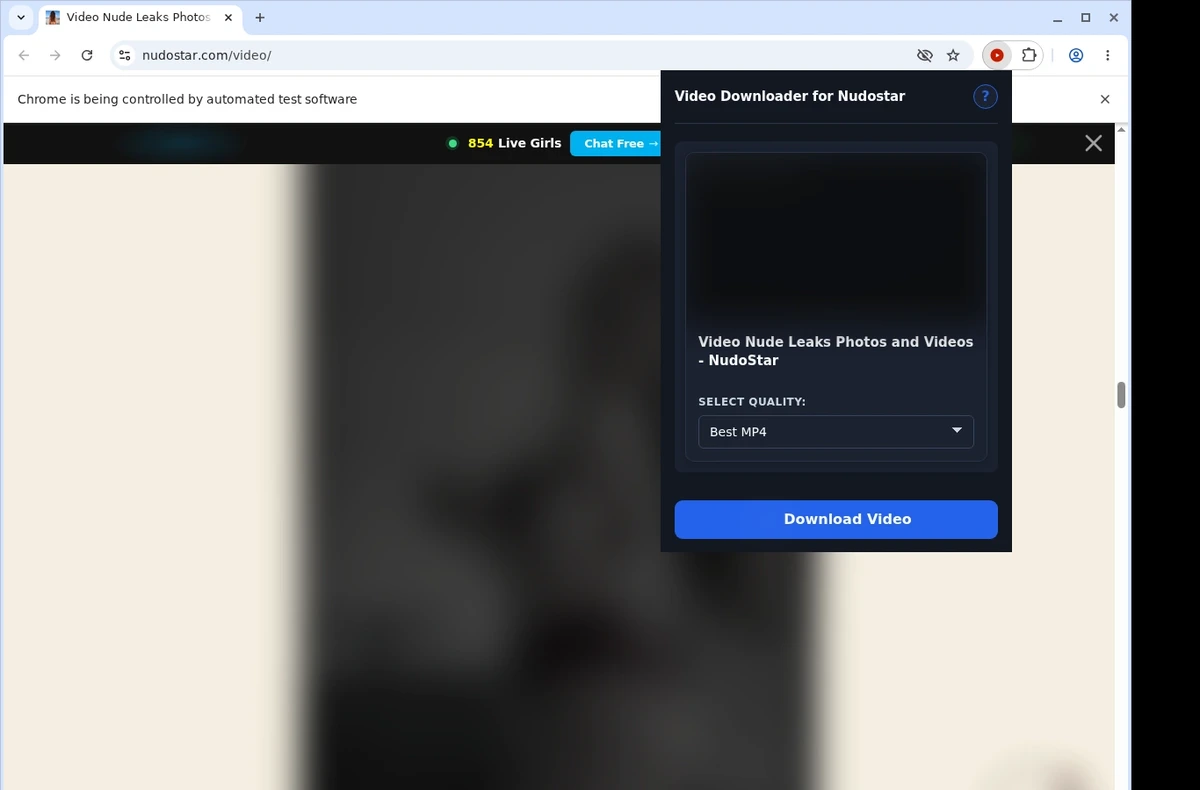 Nudostar Downloader ready state screenshot