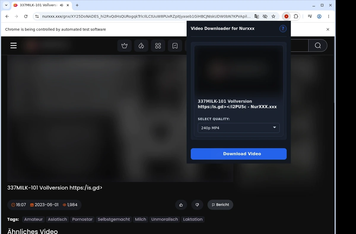 NurXXX Video Downloader ready state screenshot