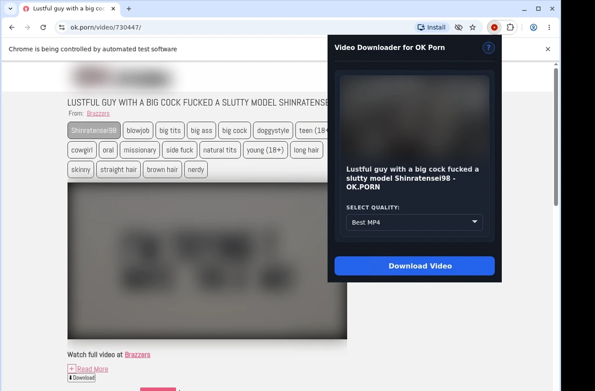 OK Porn Video Downloader ready state screenshot