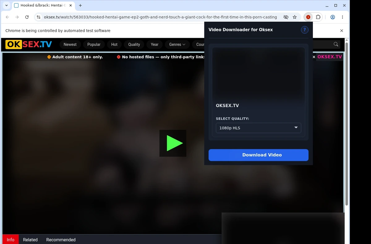 OKSex Video Downloader ready state screenshot
