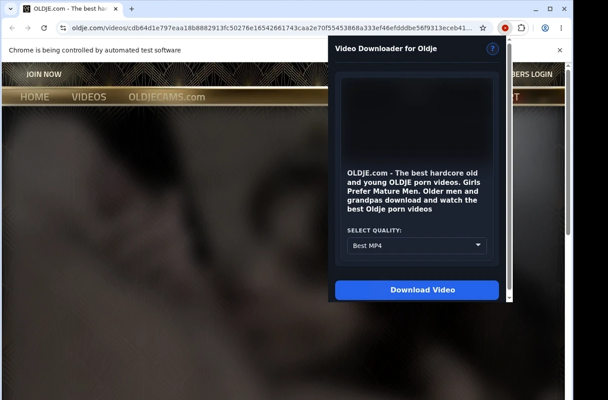 Oldje Video Downloader ready state screenshot