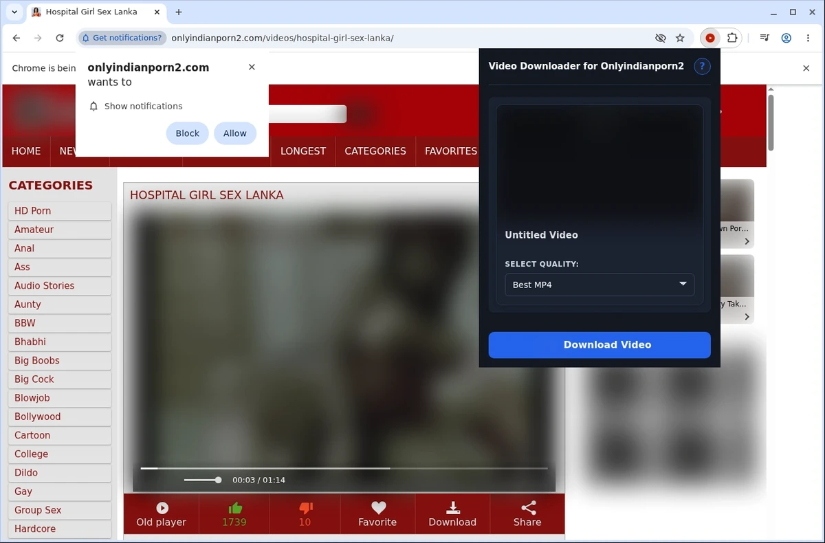 OnlyIndianPorn2 Video Downloader ready state screenshot