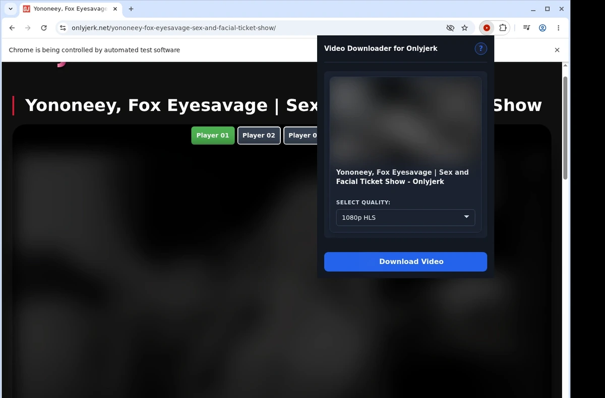 OnlyJerk Video Downloader ready state screenshot
