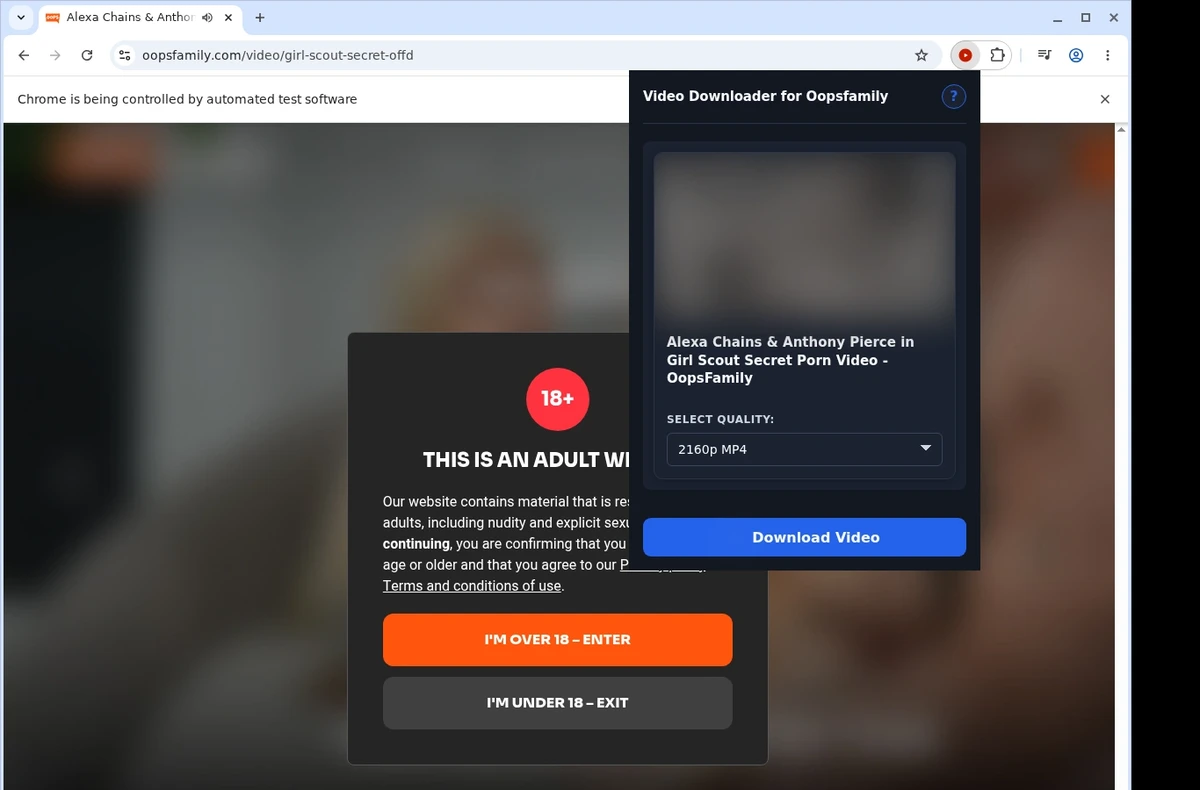 OopsFamily Video Downloader ready state screenshot