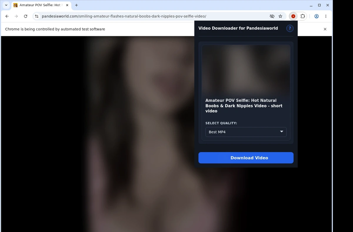 PandesiaWorld Video Downloader ready state screenshot