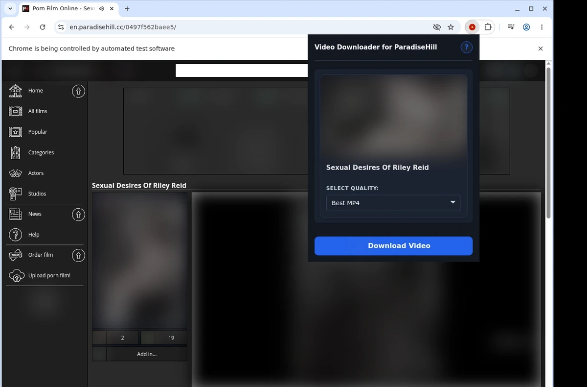 ParadiseHill Video Downloader ready state screenshot