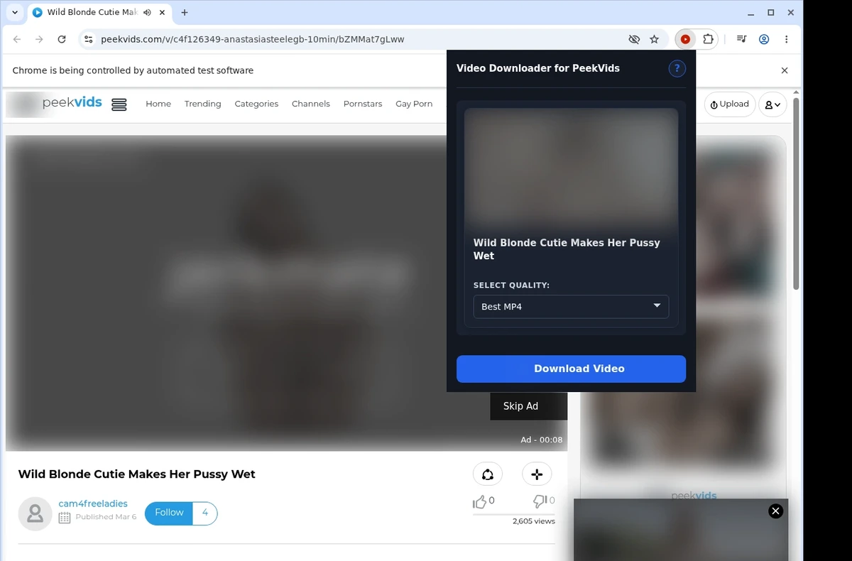 PeekVids Video Downloader ready state screenshot
