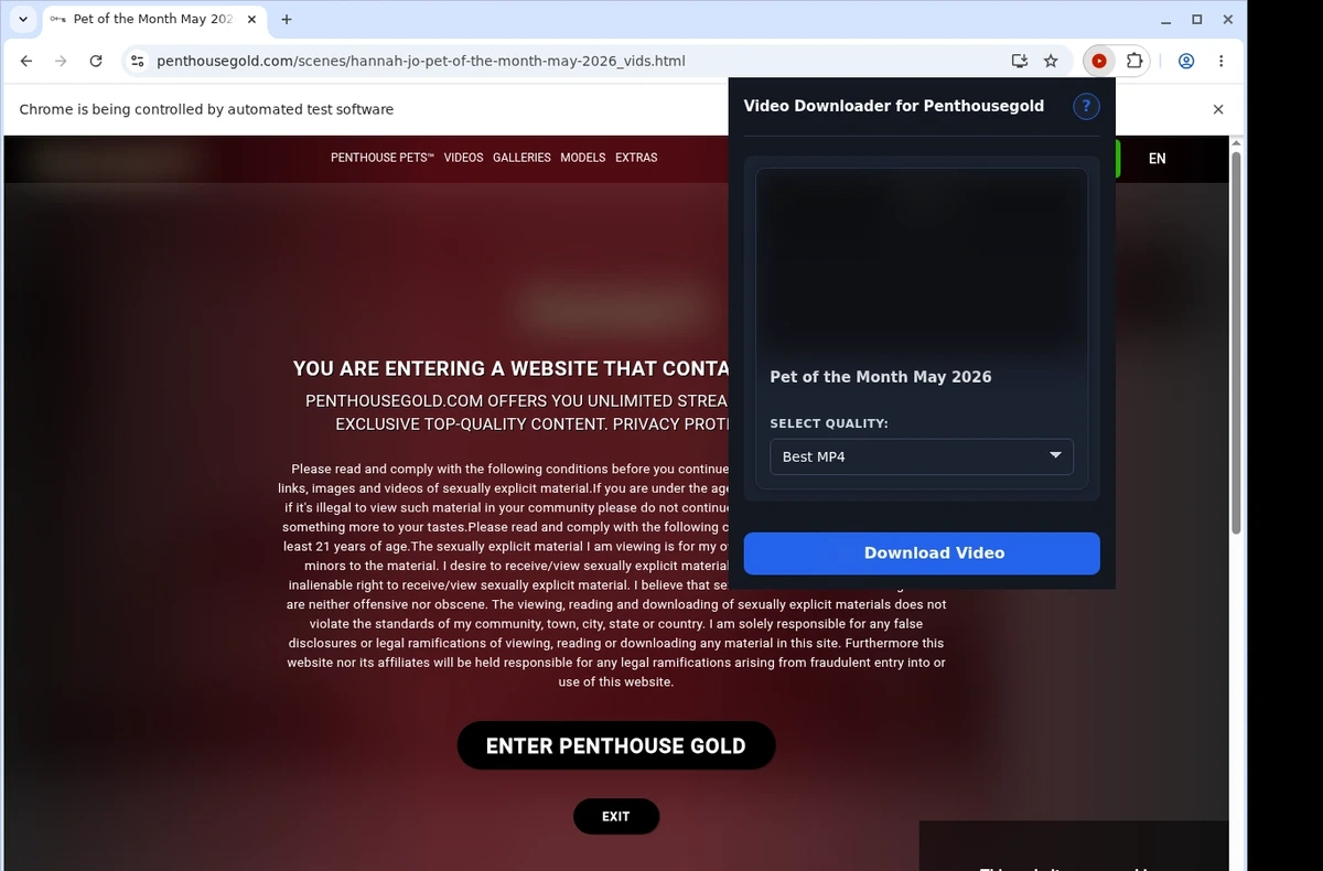 PenthouseGold Video Downloader ready state screenshot