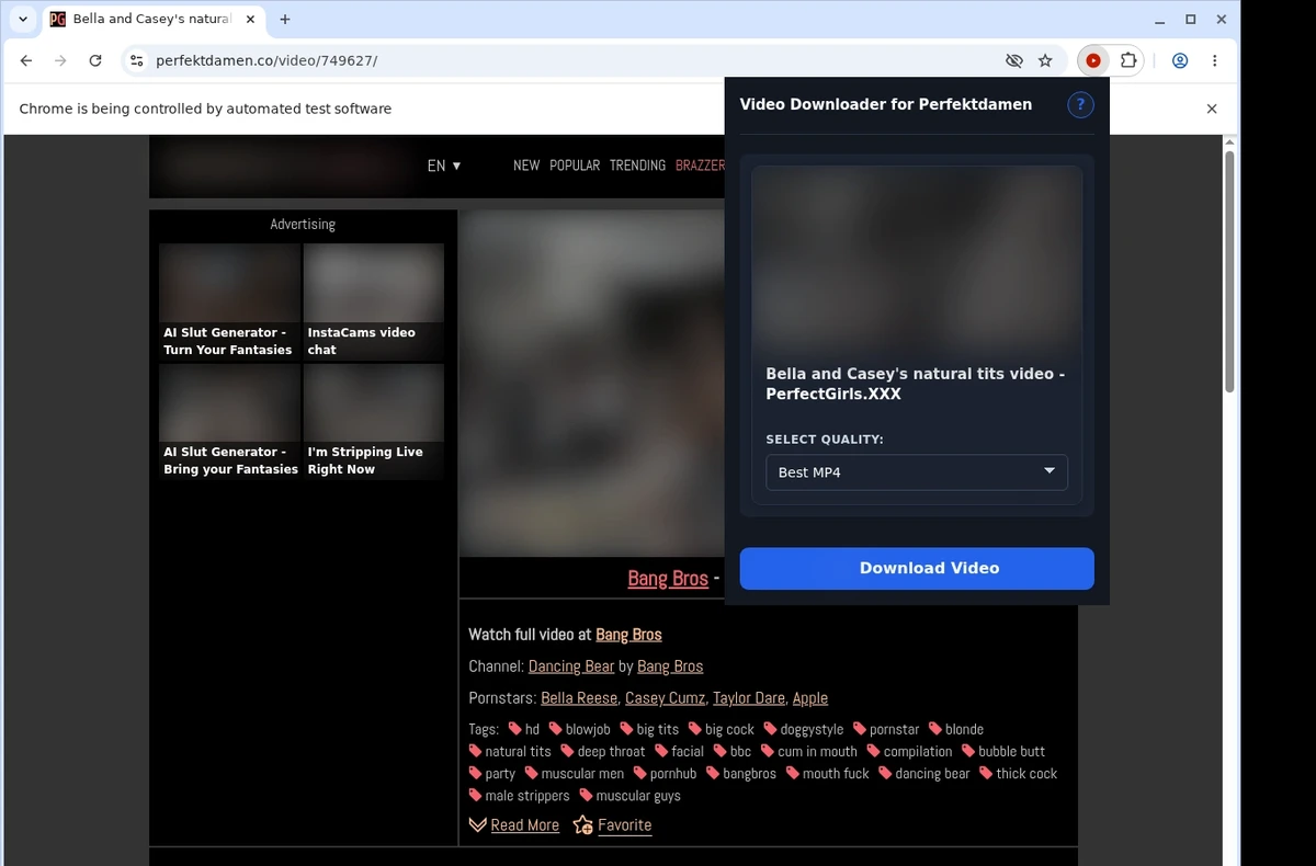 PerfektDamen Video Downloader ready state screenshot