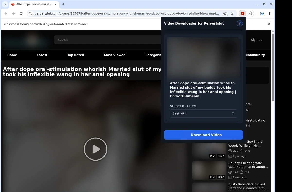 PervertSlut Downloader ready state screenshot