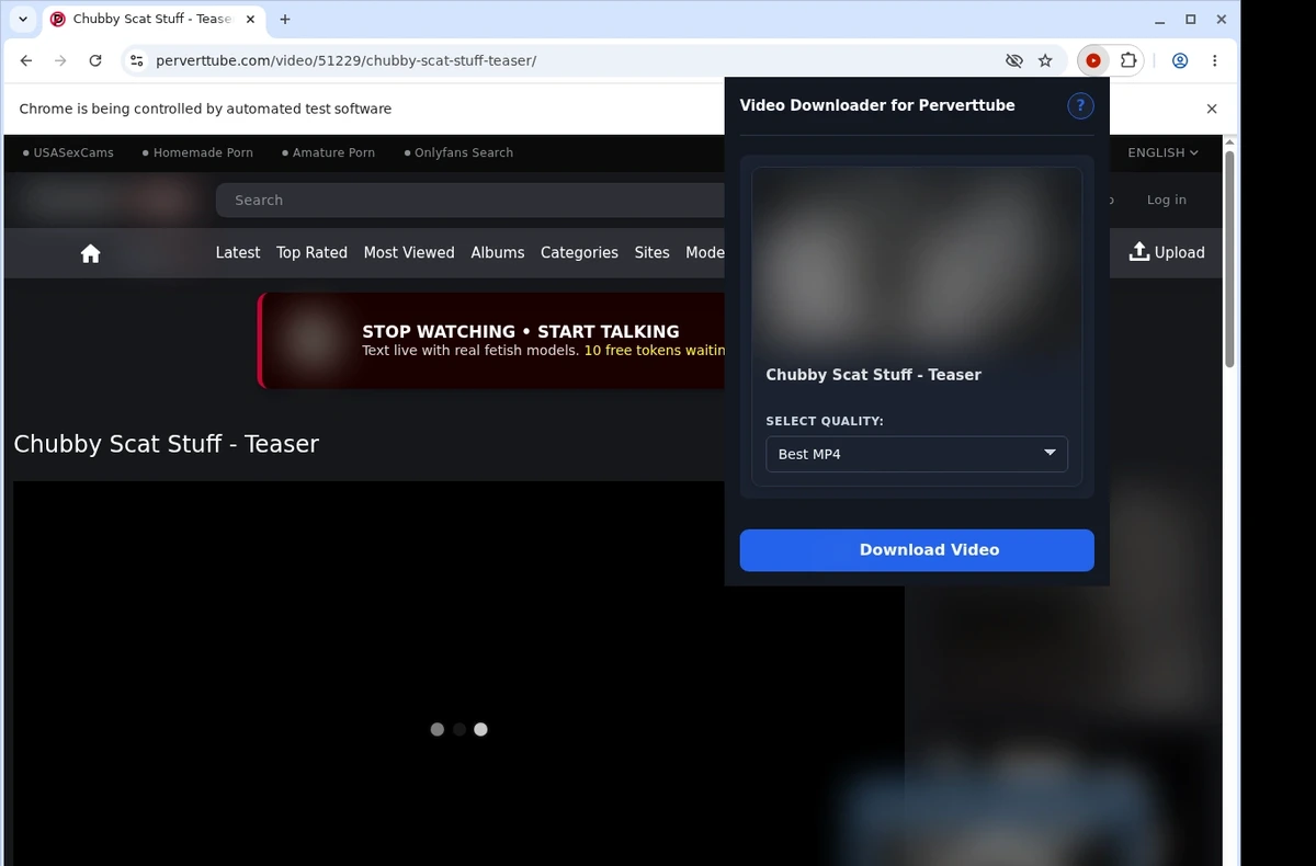 PervertTube Video Downloader ready state screenshot