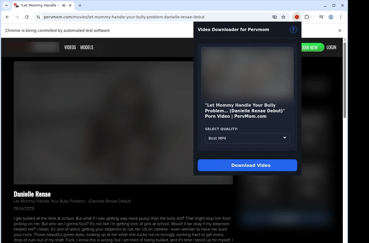 PervMom Video Downloader ready state screenshot
