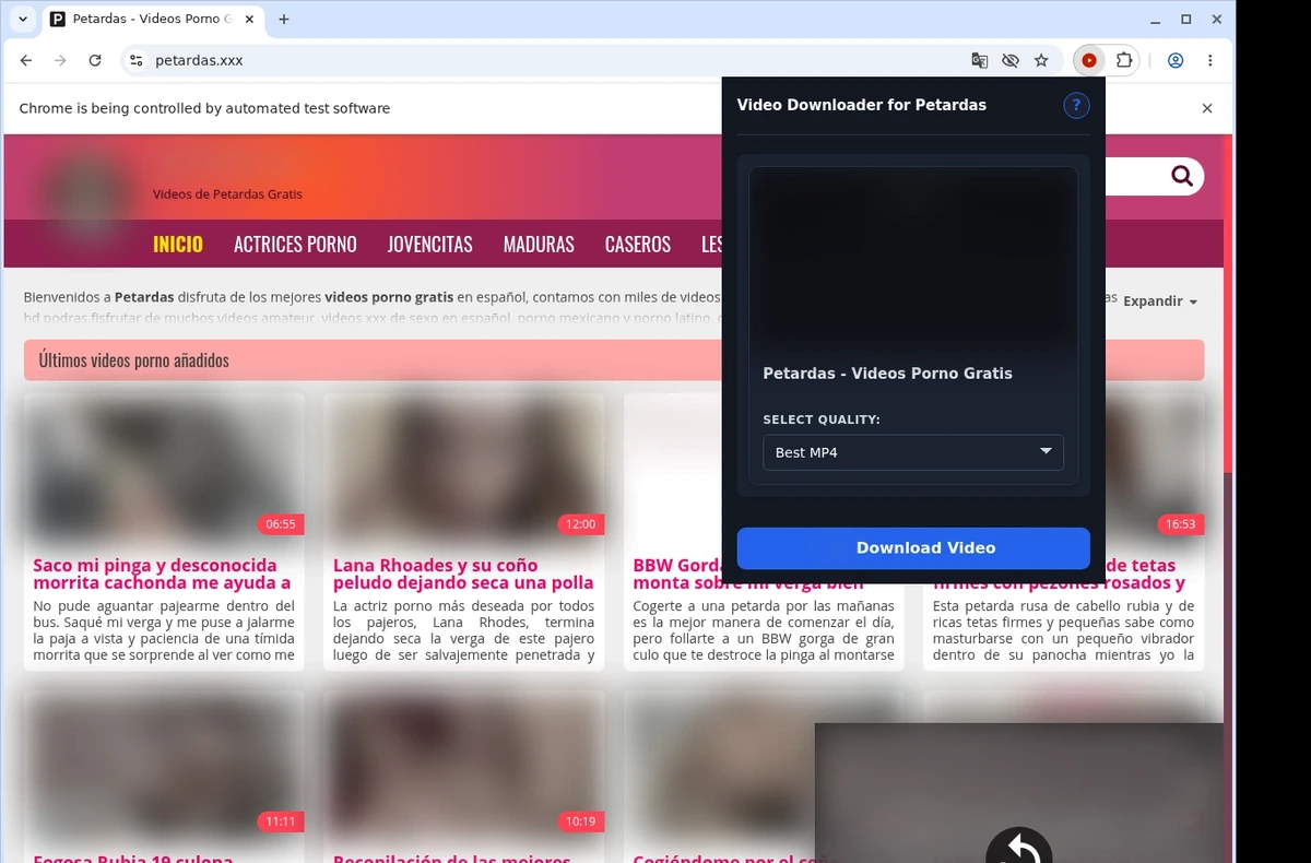 Petardas Downloader ready state screenshot
