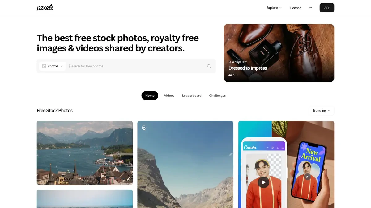 Pexels Video Downloader website preview