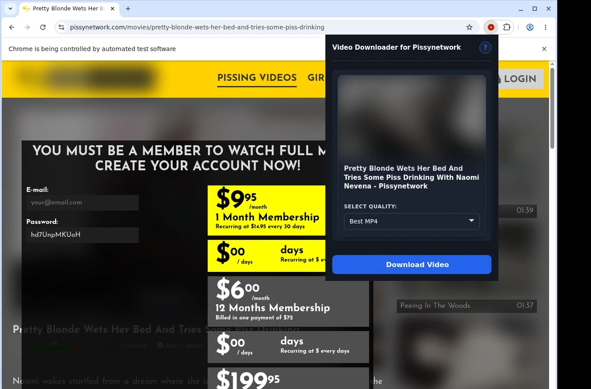 PissyNetwork Video Downloader ready state screenshot