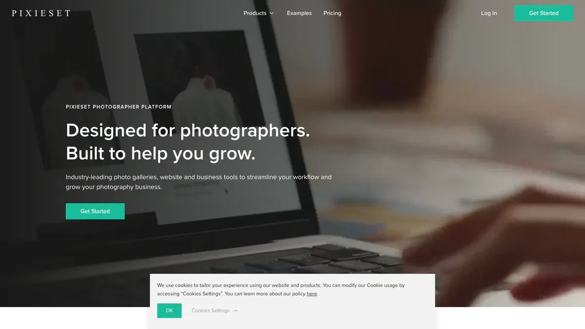 Pixieset Downloader website preview