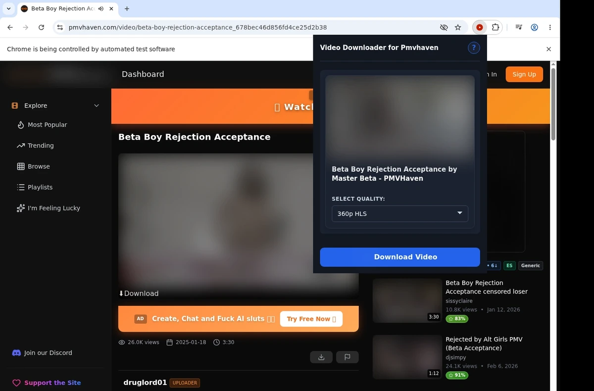 PMVHaven Video Downloader ready state screenshot