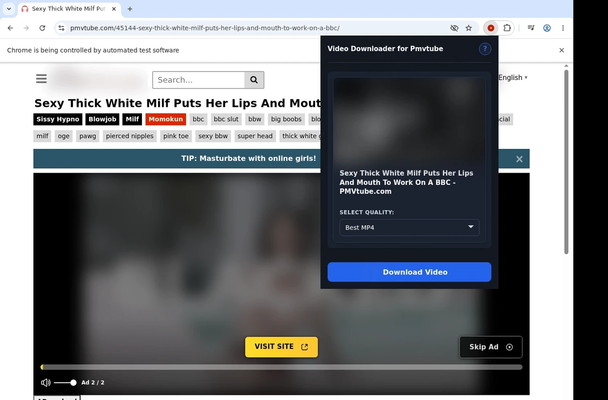 PMVTube Video Downloader ready state screenshot
