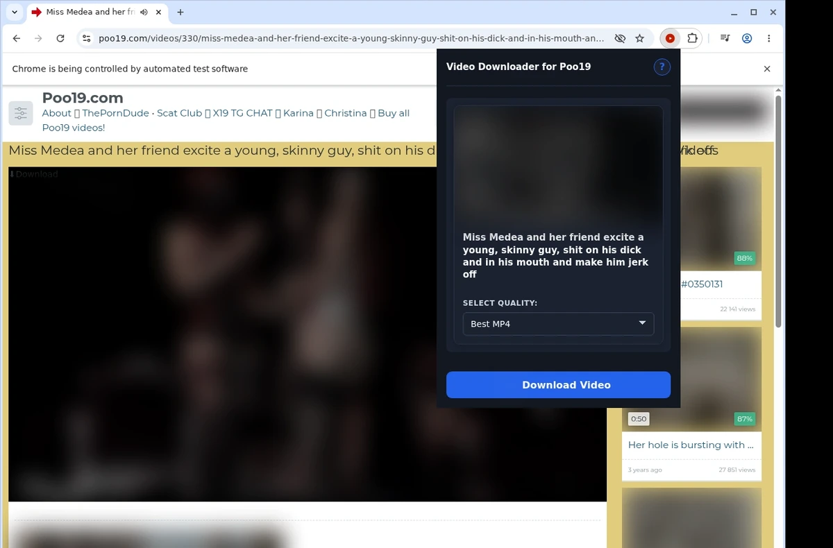 Poo19 Video Downloader ready state screenshot