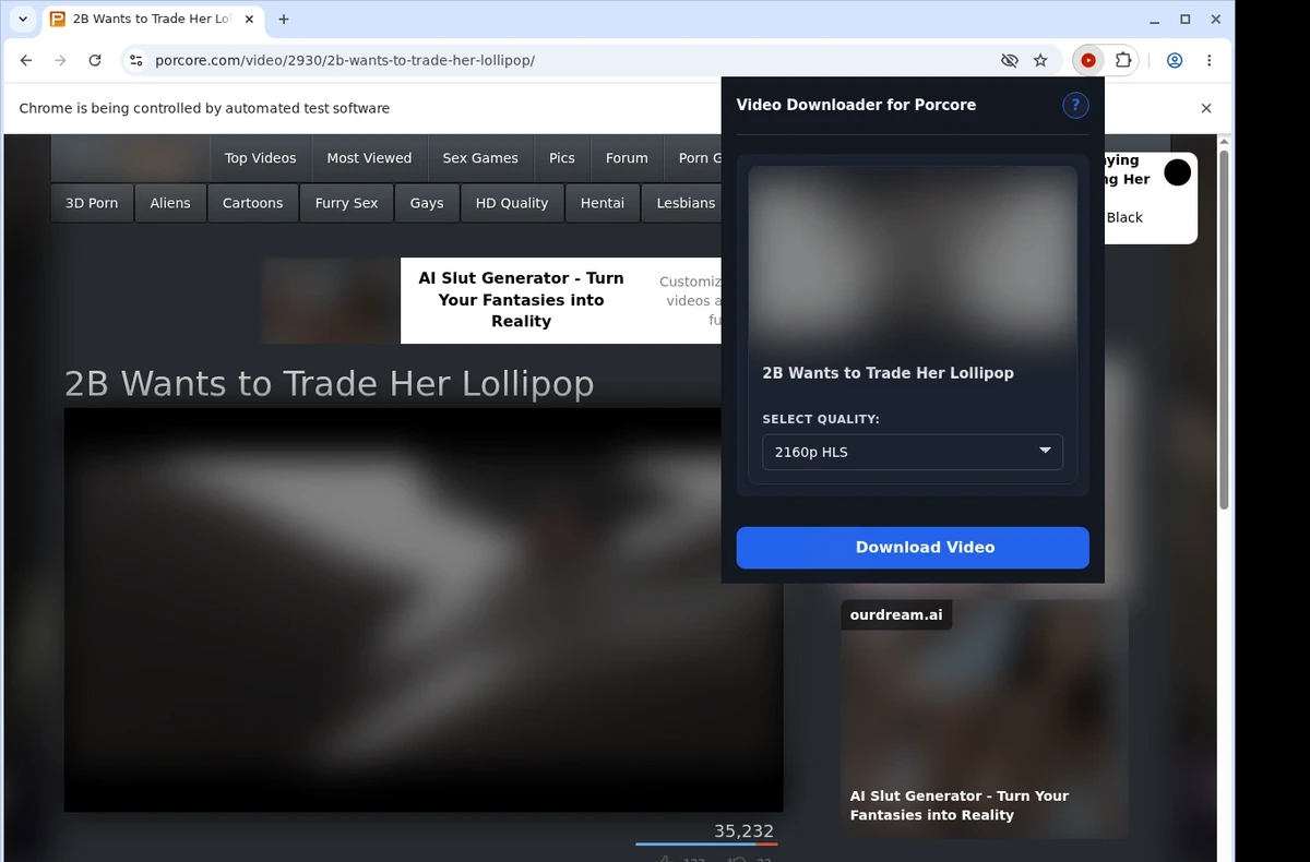 Porcore Video Downloader ready state screenshot