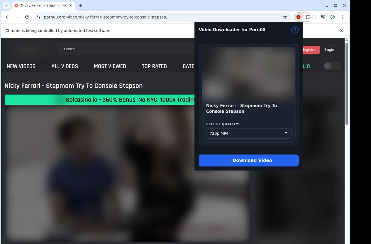 Porn00 Downloader ready state screenshot