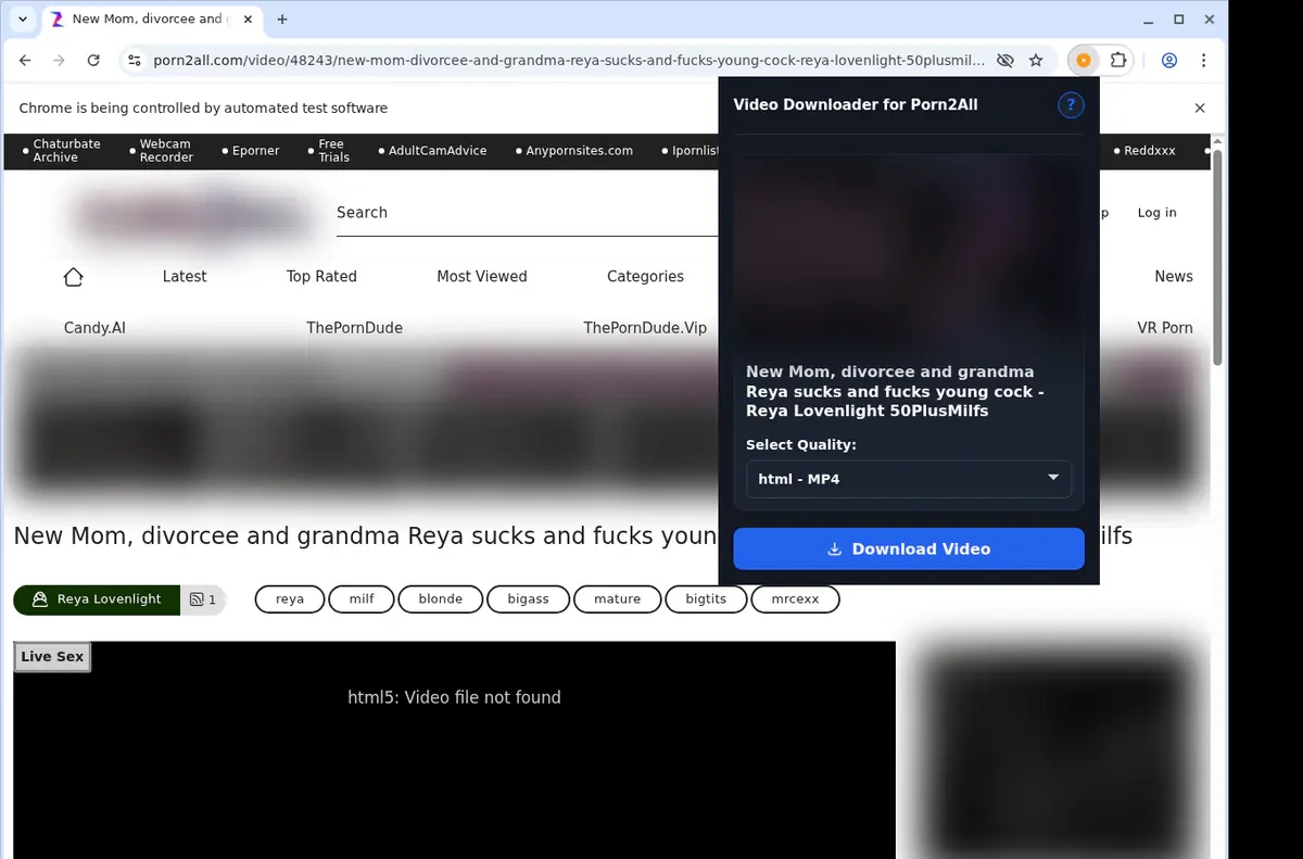 Porn2All Downloader fullscreen screenshot