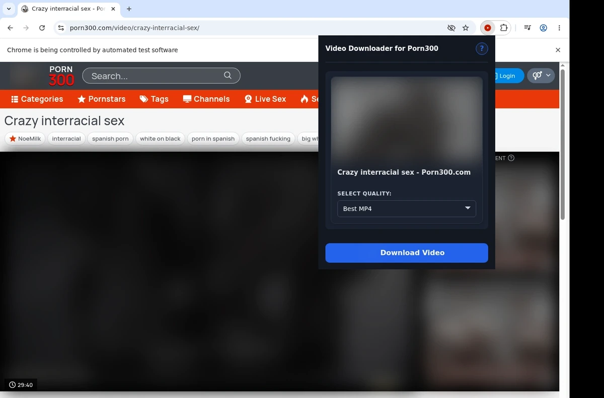 Porn300 Video Downloader ready state screenshot