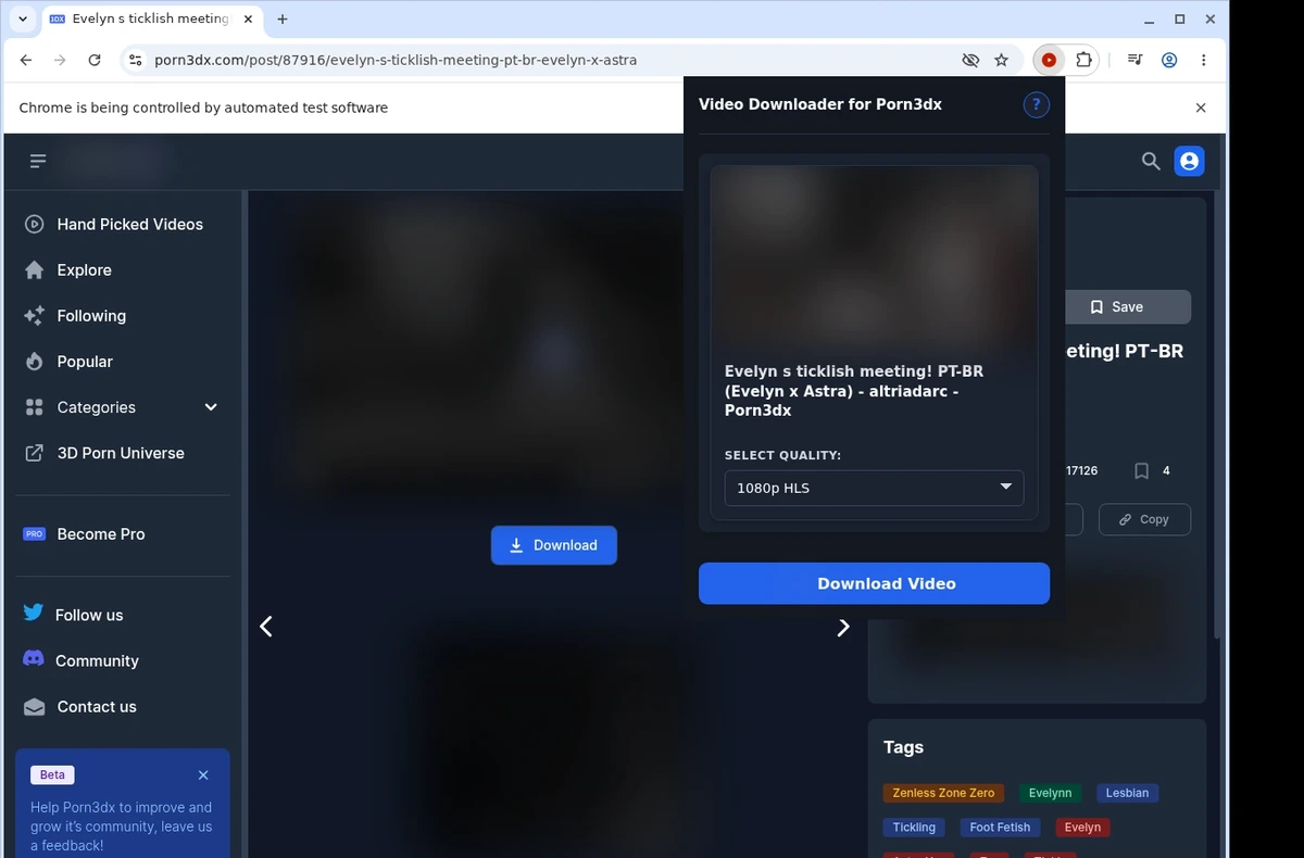 Porn3DX Video Downloader ready state screenshot