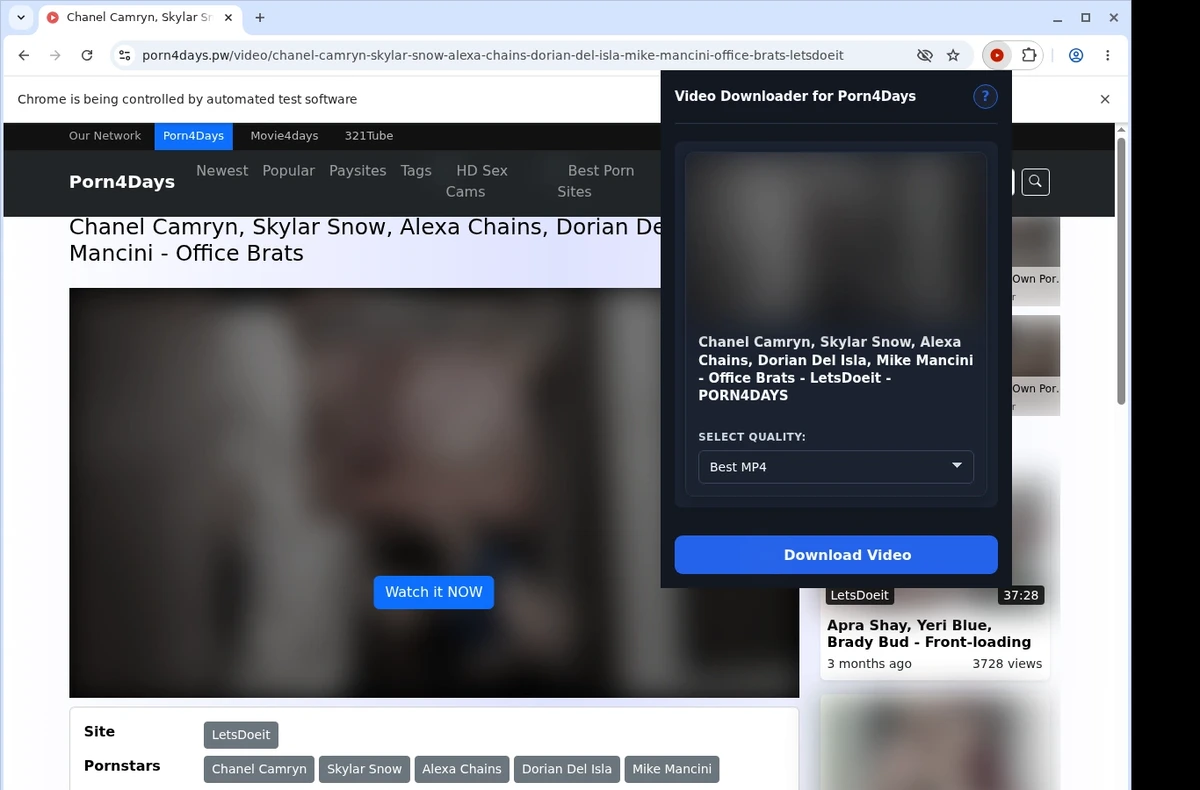 Porn4Days Video Downloader ready state screenshot