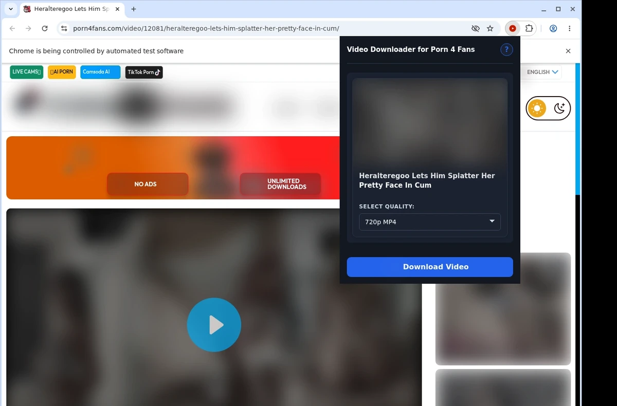 Porn4Fans Video Downloader ready state screenshot