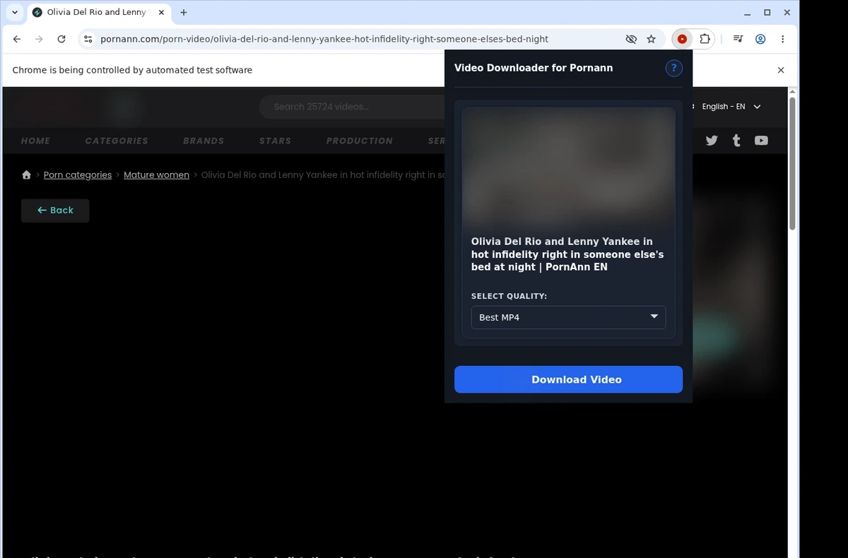PornAnn Video Downloader ready state screenshot