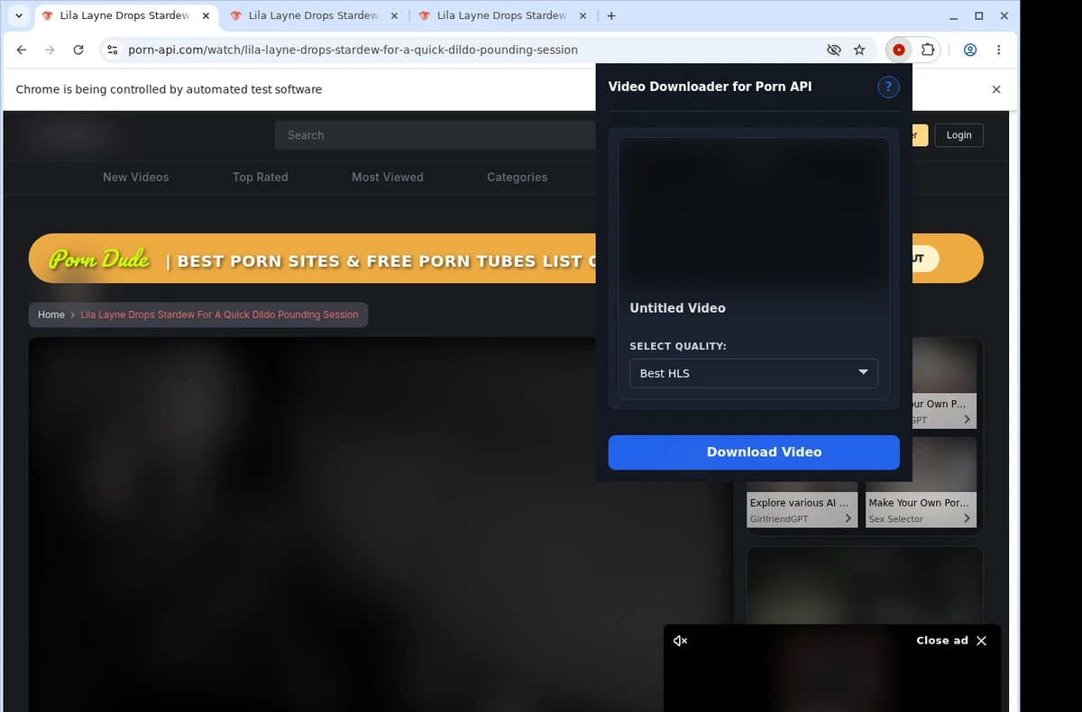 Porn API Video Downloader ready state screenshot