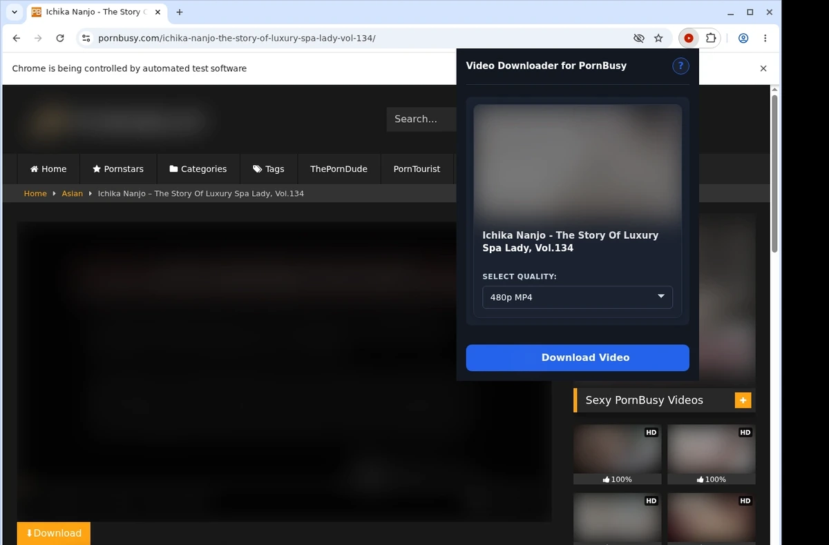 PornBusy Video Downloader ready state screenshot