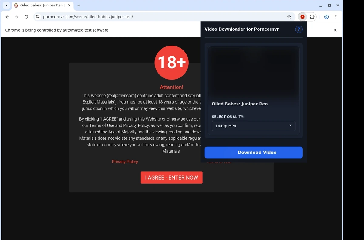 PorncornVR Video Downloader ready state screenshot