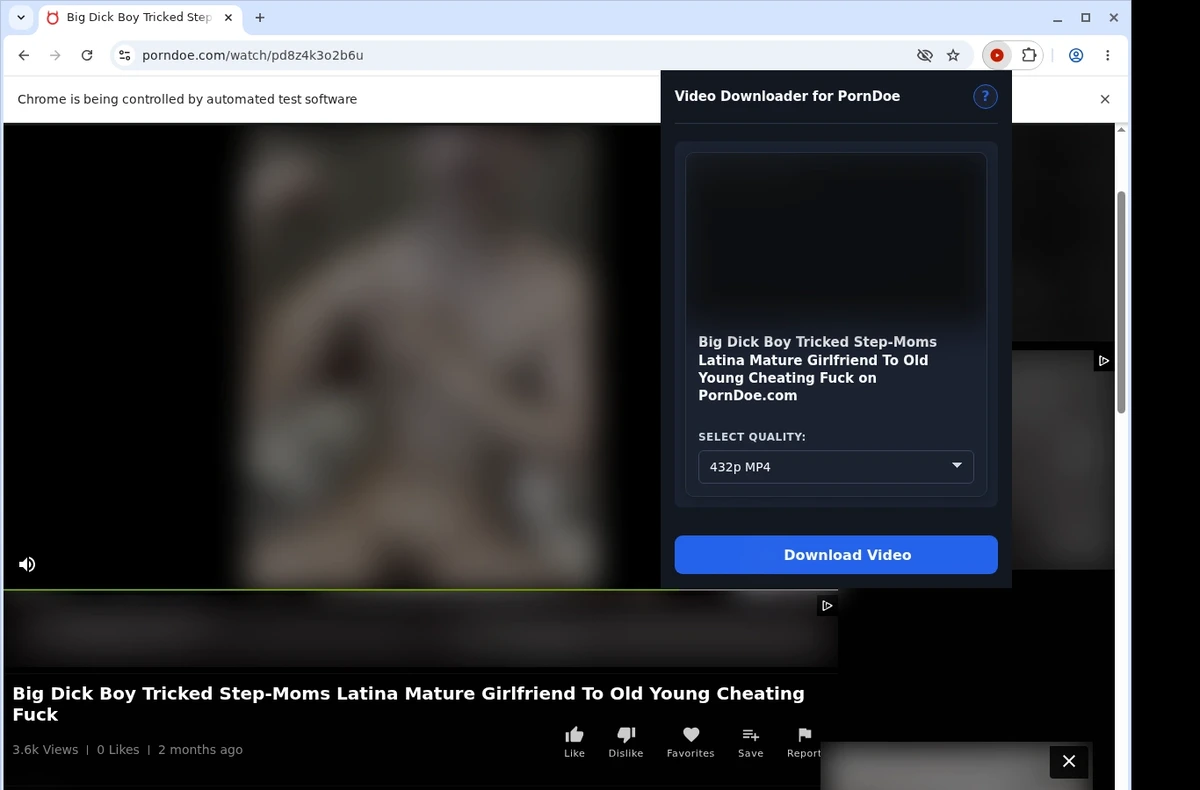 PornDoe Video Downloader ready state screenshot
