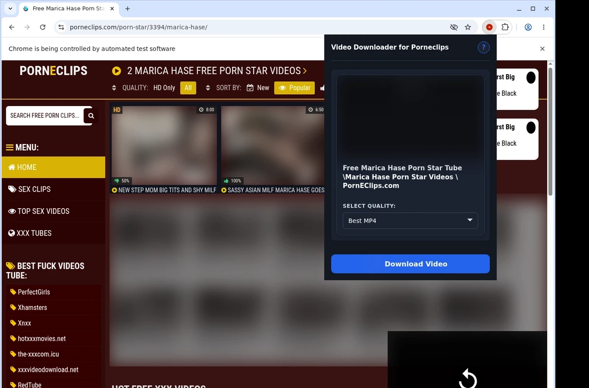 PornEclips Downloader ready state screenshot