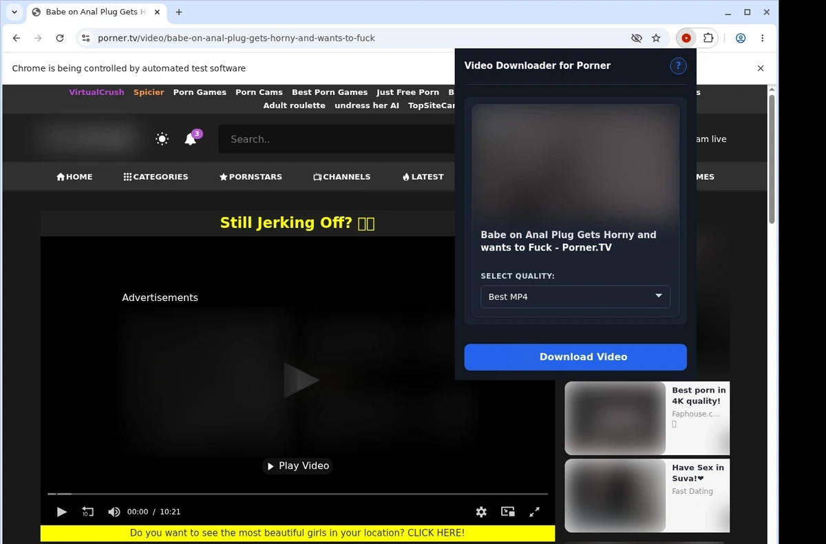Porner Video Downloader ready state screenshot