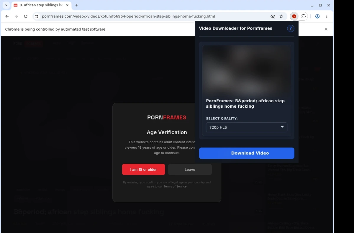 PornFrames Video Downloader ready state screenshot